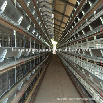 Made in China automatic chicken coop designs